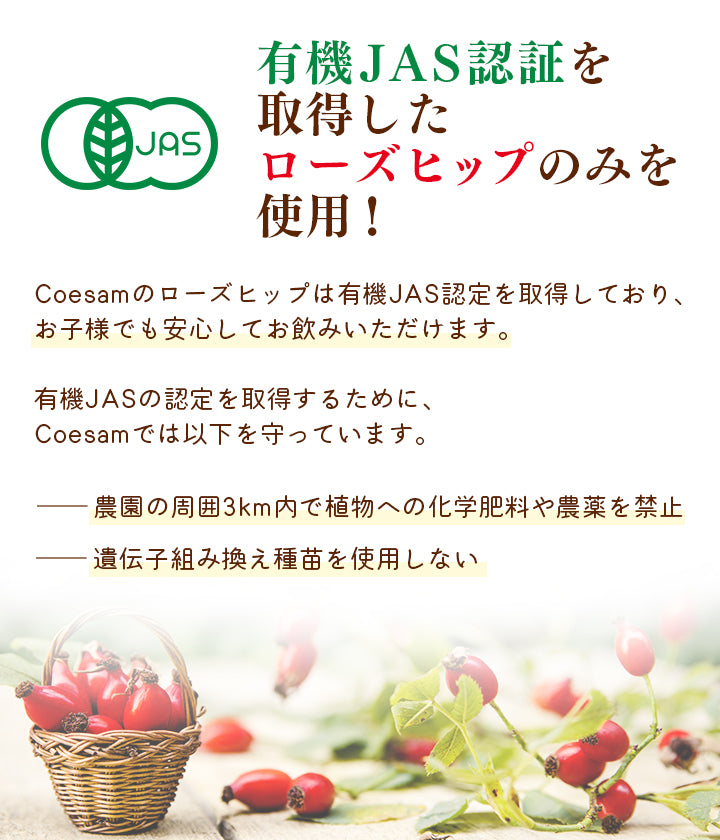 Rosehip & Ginger Tea