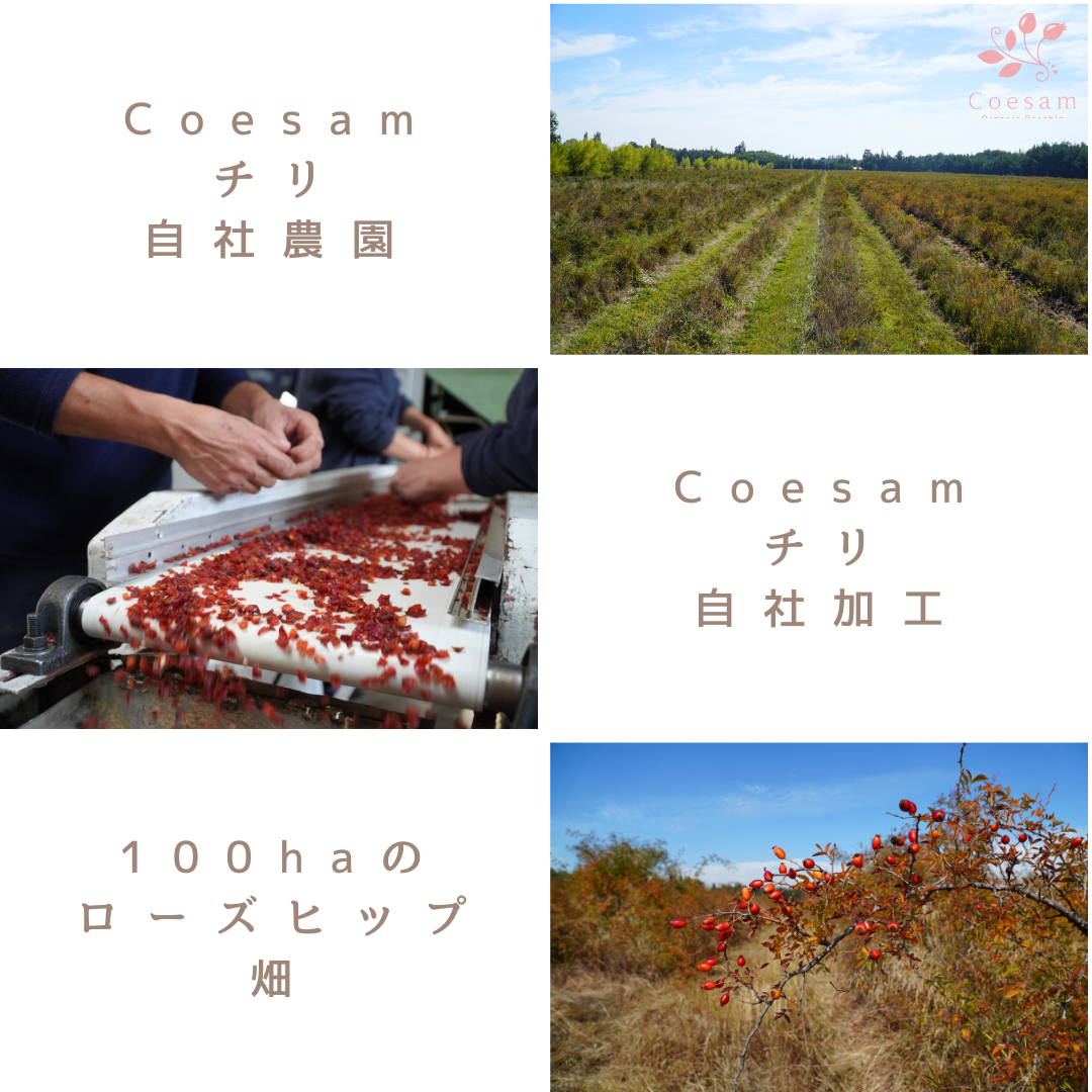 Rosehip & Ginger Tea