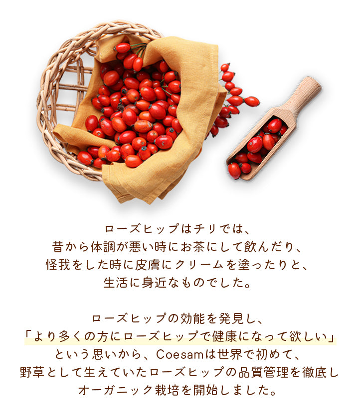 有機ローズヒップティー ファインカット – Coesam Japan